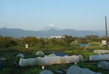 20131105 Éٻδ§Àã2