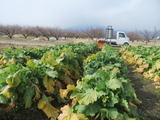 20120219¥