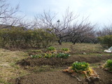 20120219¢