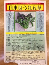 005_1日本ほうれん草