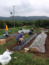 012他グループ作業中1