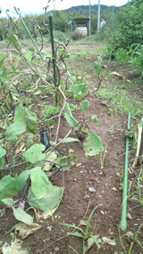 20110925£