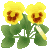 ぱんじー黄