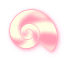 ピンク巻き貝