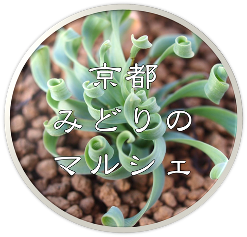 みどりのマルシェ ロゴ