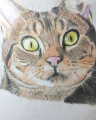 neko