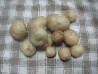 PICT0546