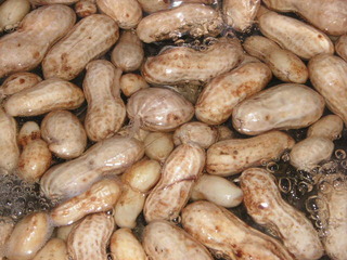 PICT0544