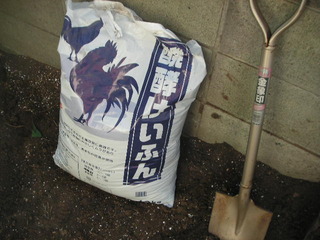 PICT0536