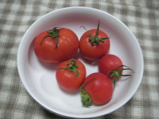 PICT0533