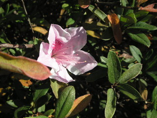 PICT0548