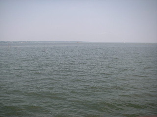 PICT0181