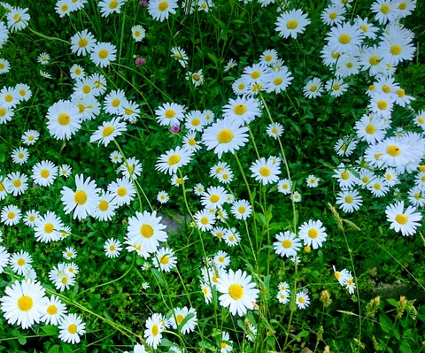 _20170627_220309