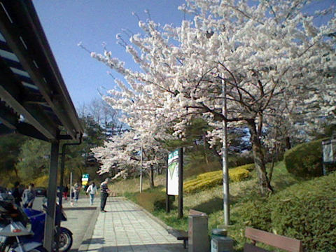 長野旅行 菅生SAにて