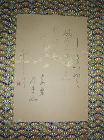 41b0859b.jpg