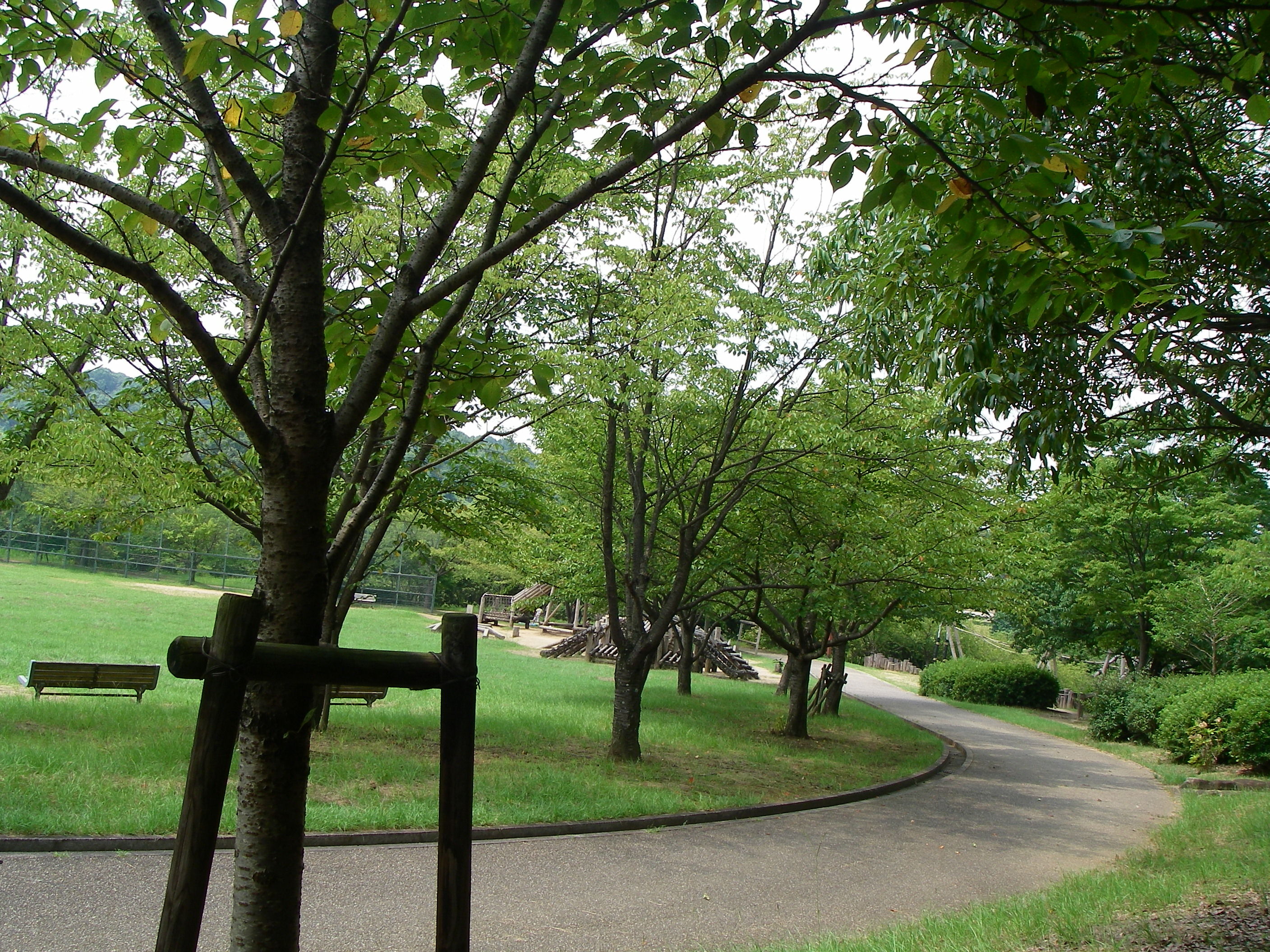 IMGP0273