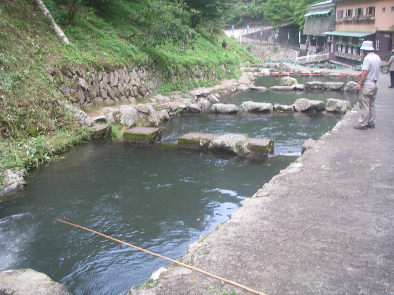 IMGP0362
