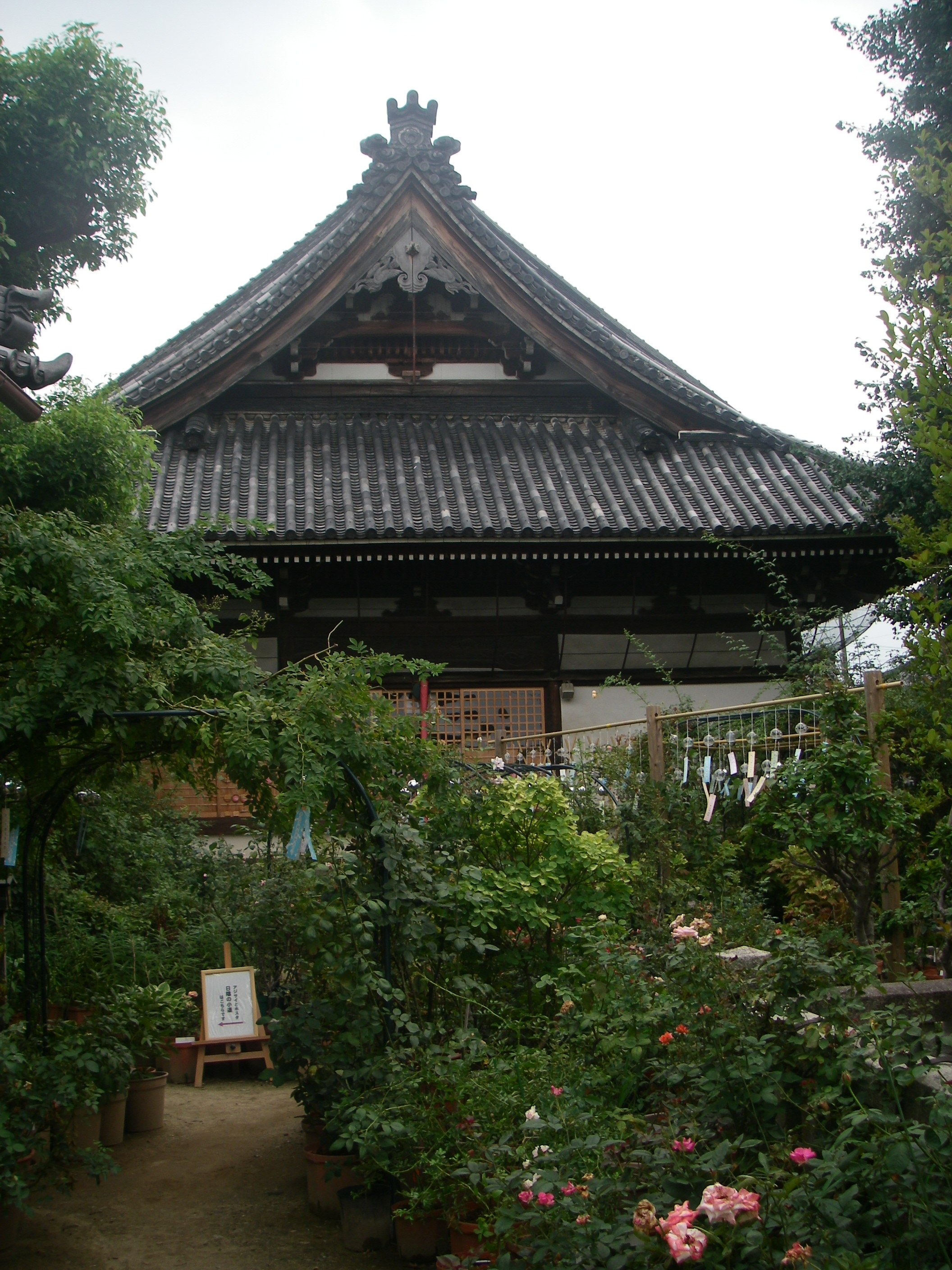 IMGP0320
