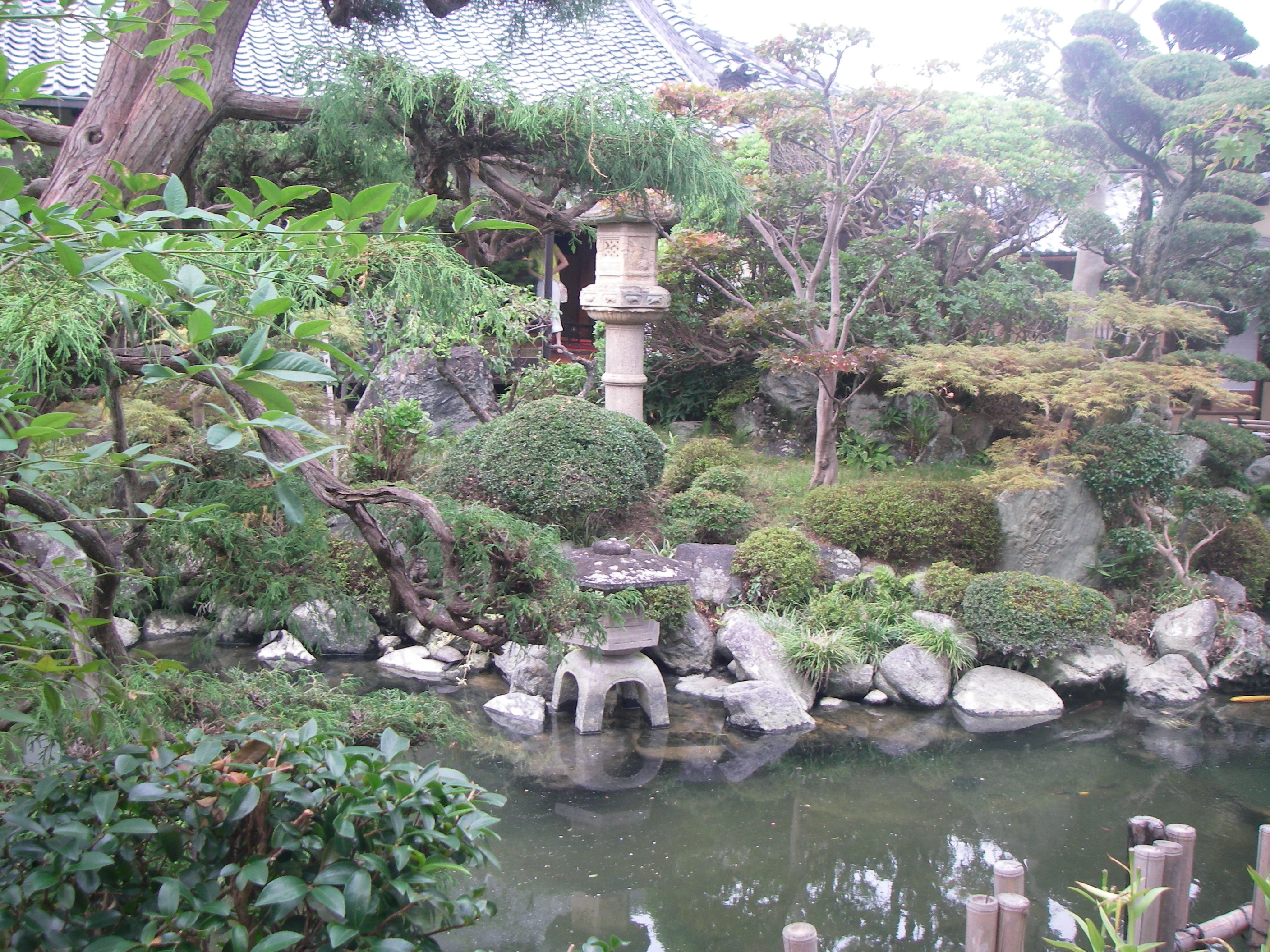 IMGP0322