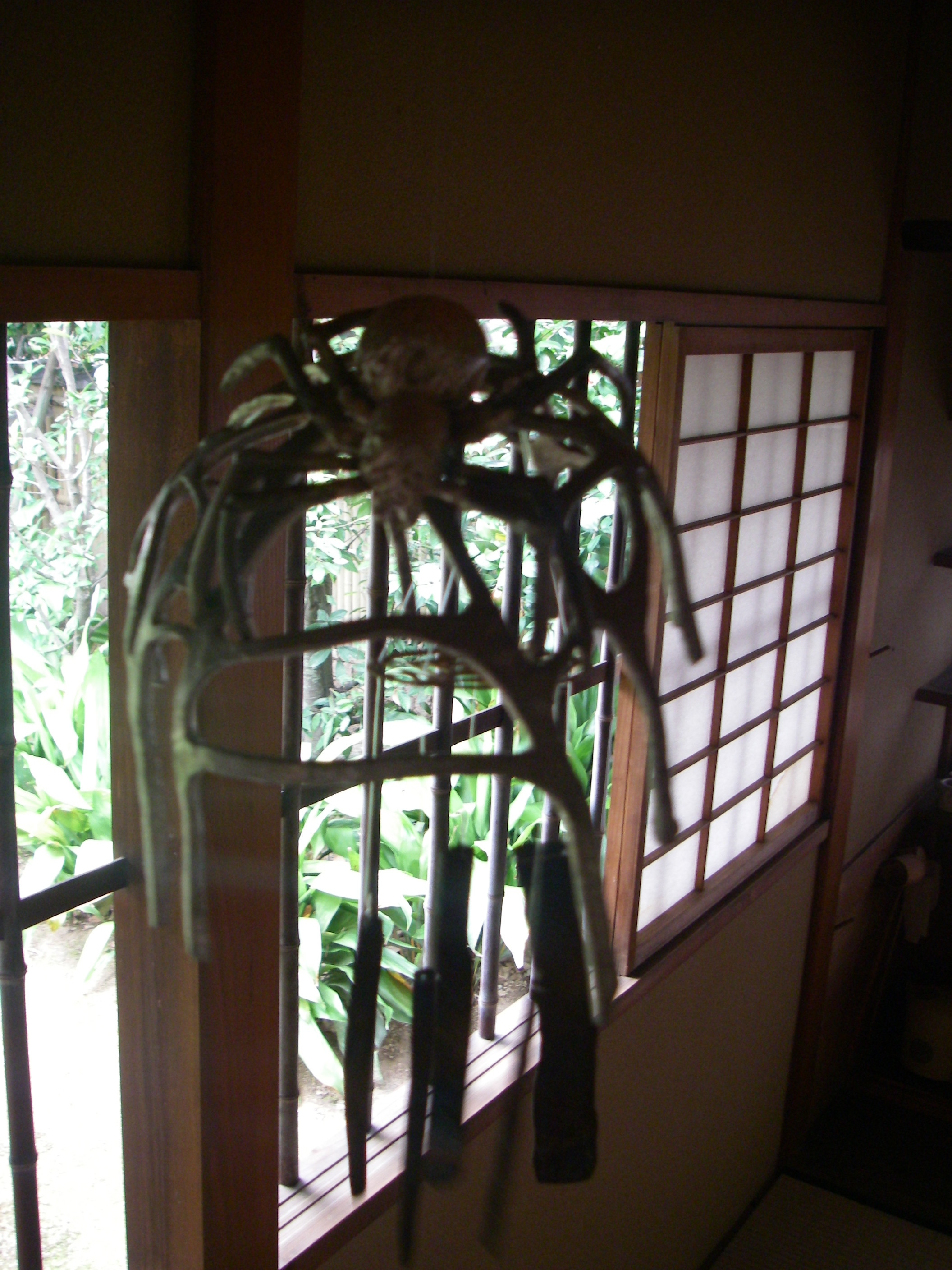 IMGP0326