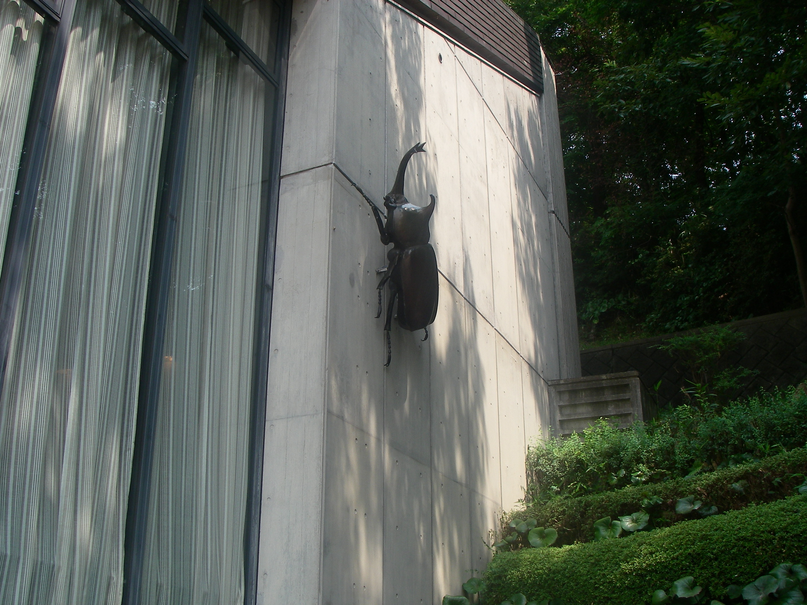 IMGP0275