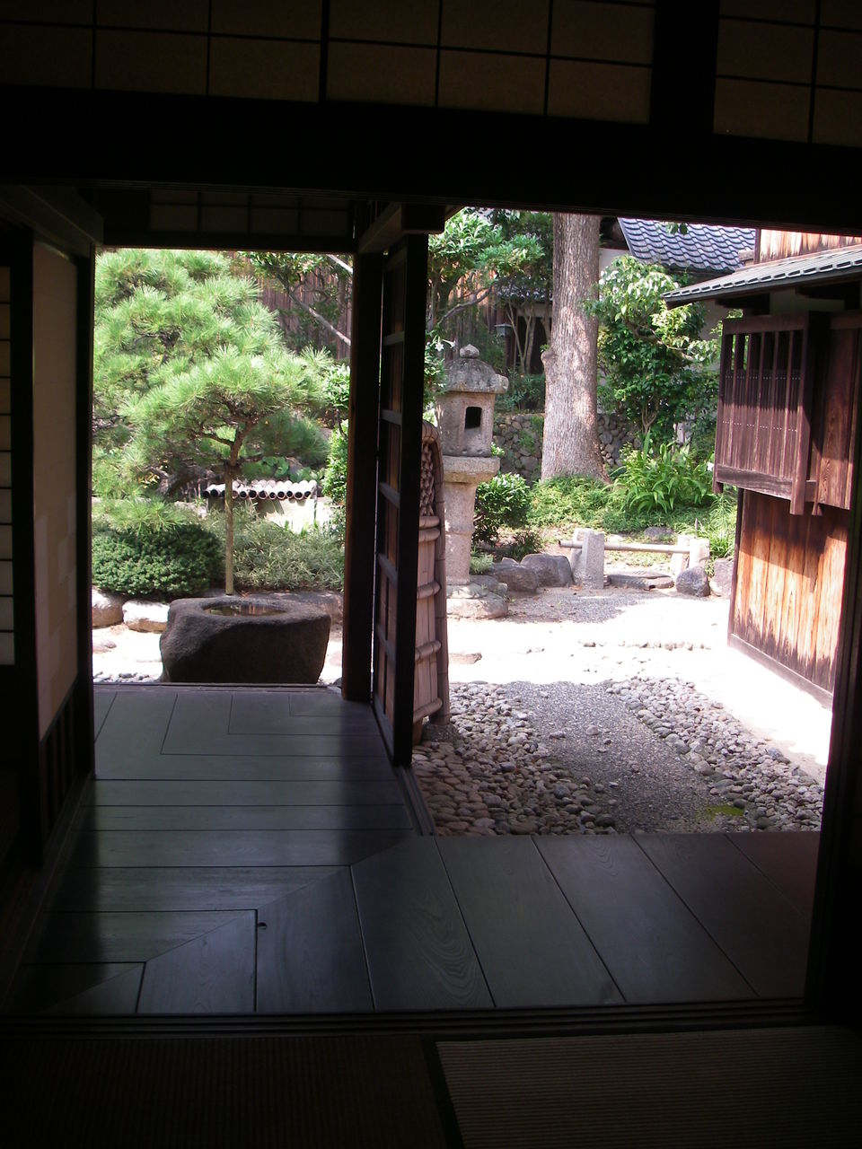 IMGP0446
