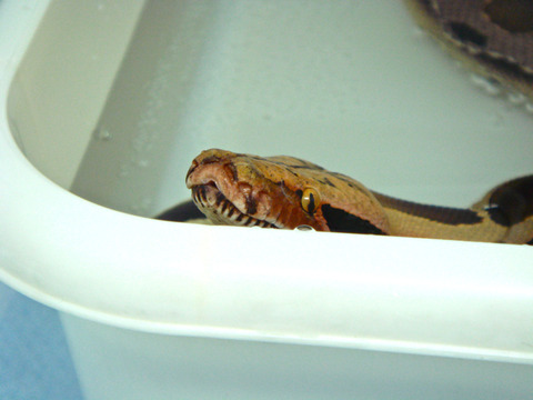 20110324-3