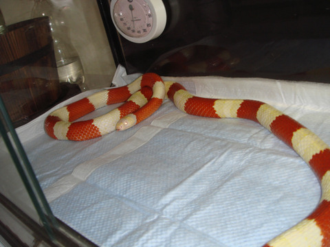 20110226-8