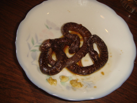 20110918-snakecenter20