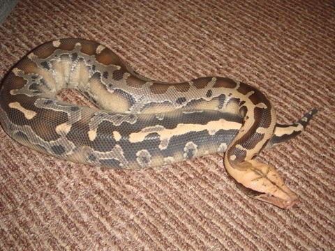 20110112-2