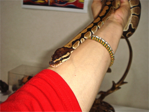 20110304-5
