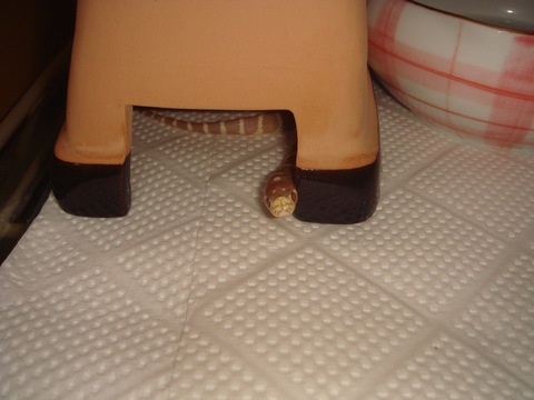 20100503_5