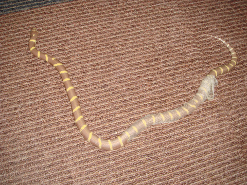 20110205-1