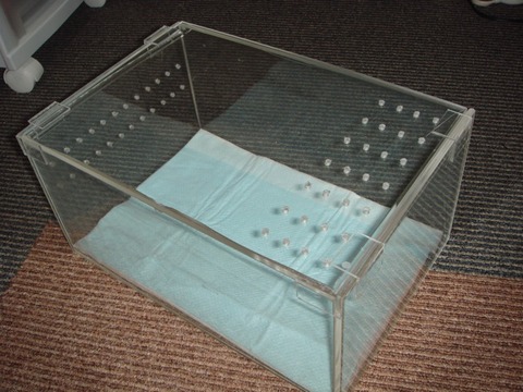 20101129-1