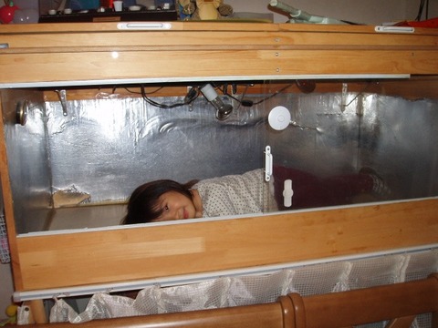 20101129-21