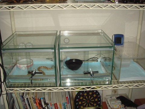 20101130-6