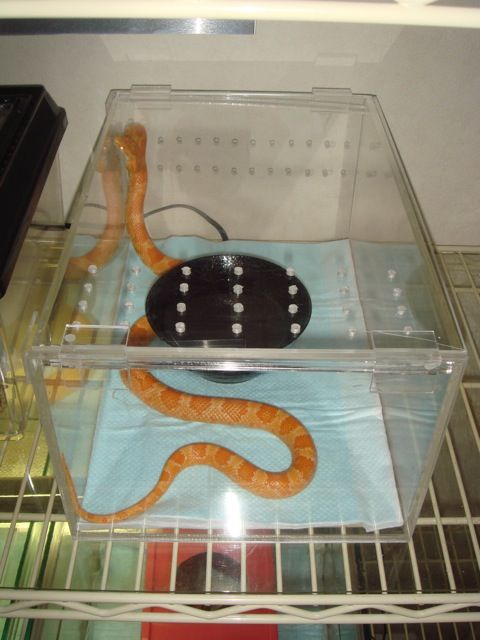 20101129-2
