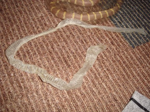 20101008-1