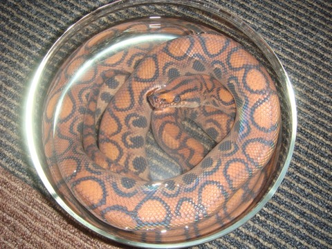 20101231-3