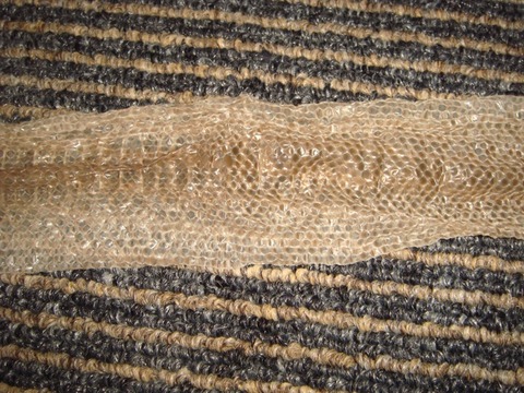 20110624-4