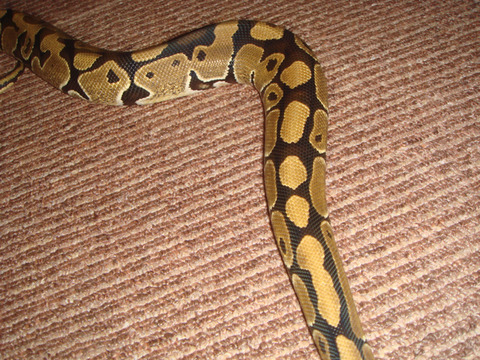 20110304-6