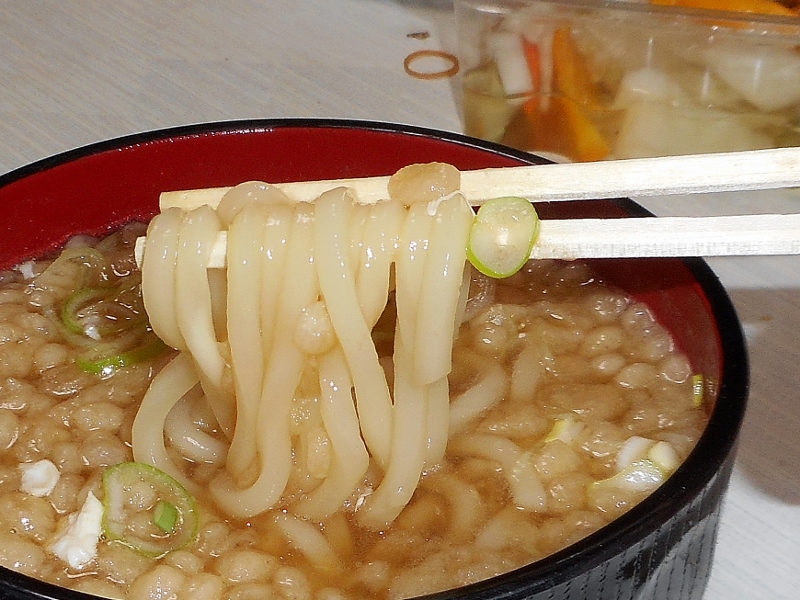 たぬきうどん (2) (800x600)