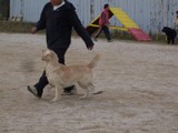 サラ