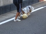 サッカー