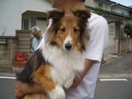 パパさんと