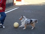 サッカー