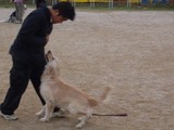 サラ