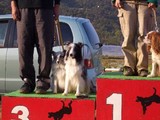 ぴっと3位