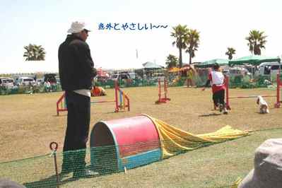 jpg1