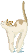 �Υӥ�